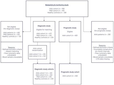 Circulating monocyte populations as biomarker for abdominal aortic aneurysms: a single-center retrospective cohort study